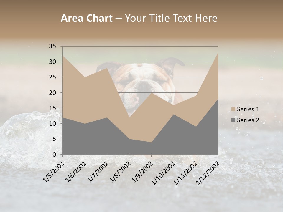 Portrait Funny Fun PowerPoint Template