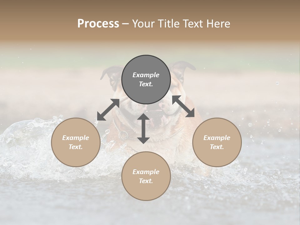 Portrait Funny Fun PowerPoint Template