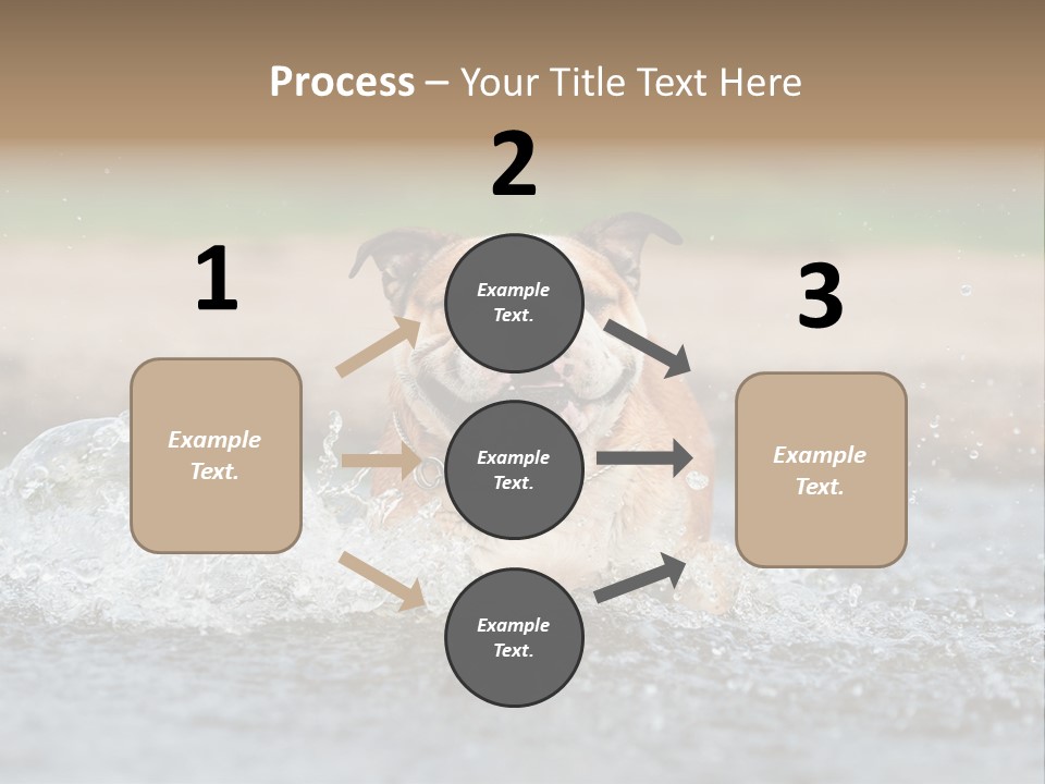 Portrait Funny Fun PowerPoint Template