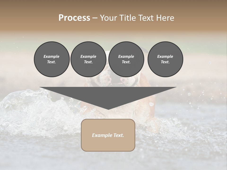 Portrait Funny Fun PowerPoint Template