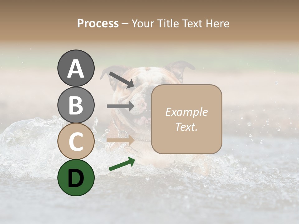 Portrait Funny Fun PowerPoint Template