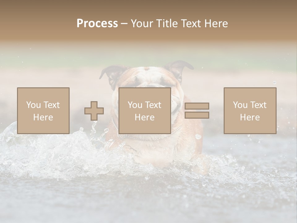 Portrait Funny Fun PowerPoint Template