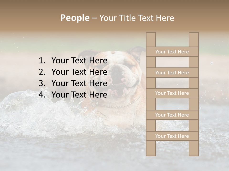 Portrait Funny Fun PowerPoint Template