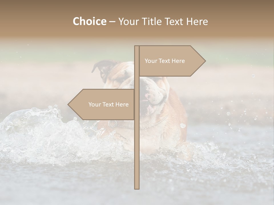 Portrait Funny Fun PowerPoint Template