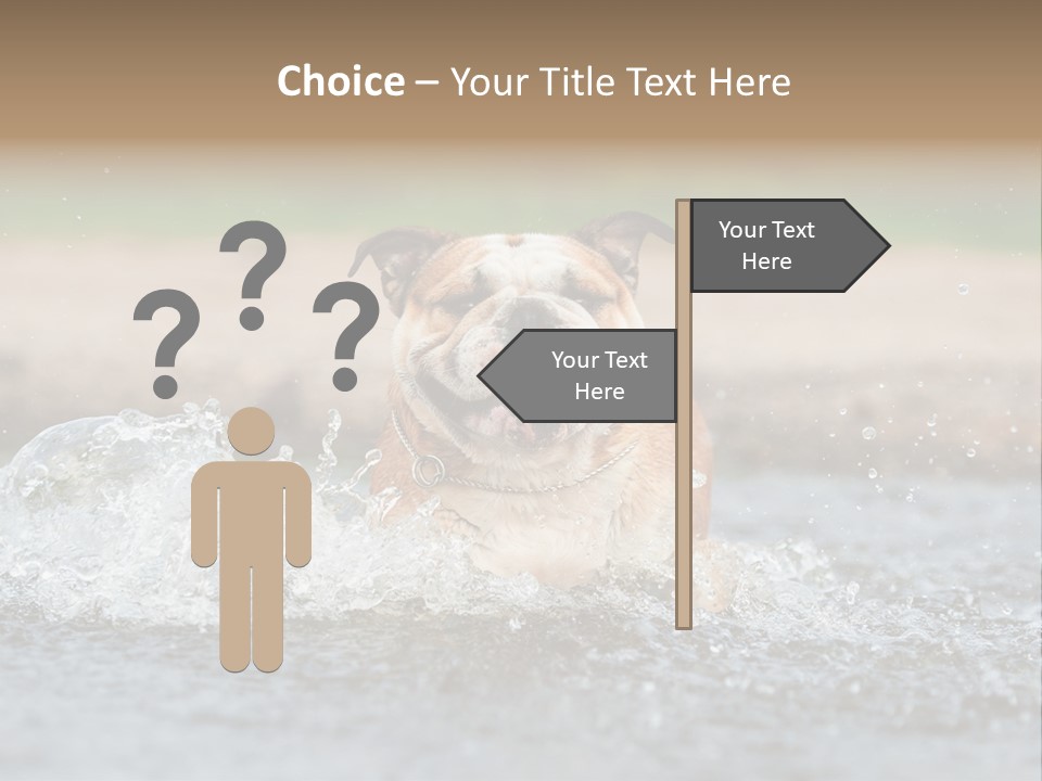 Portrait Funny Fun PowerPoint Template