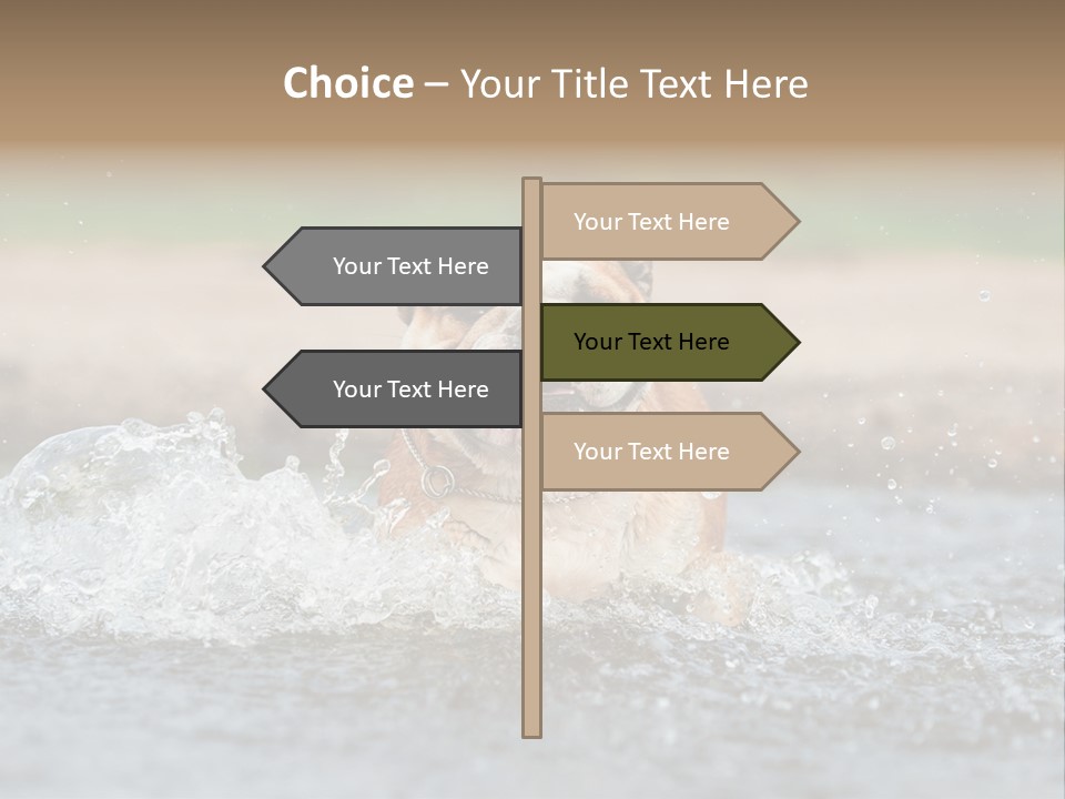 Portrait Funny Fun PowerPoint Template