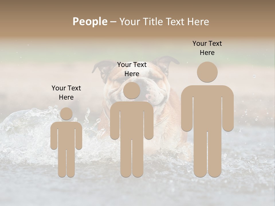 Portrait Funny Fun PowerPoint Template