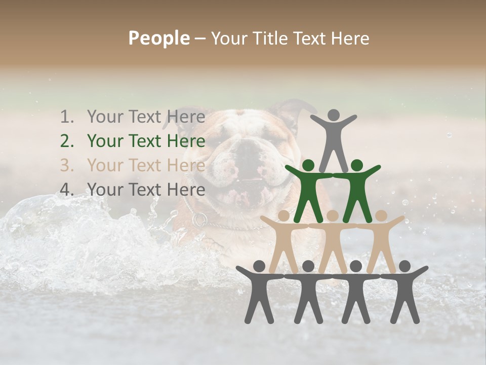 Portrait Funny Fun PowerPoint Template