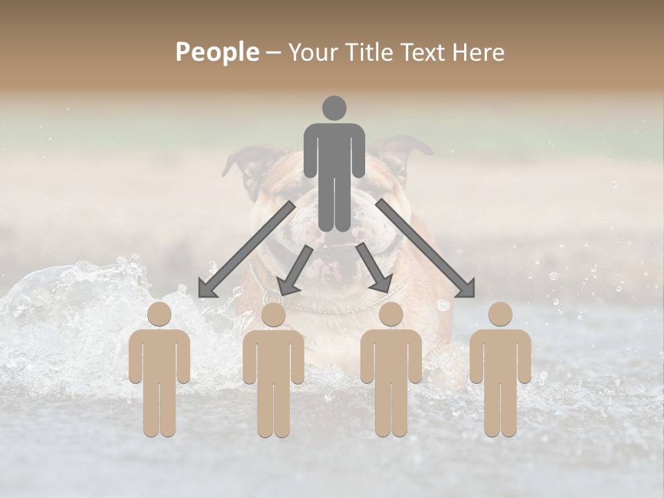 Portrait Funny Fun PowerPoint Template