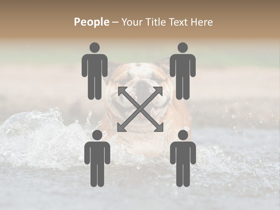 Portrait Funny Fun PowerPoint Template