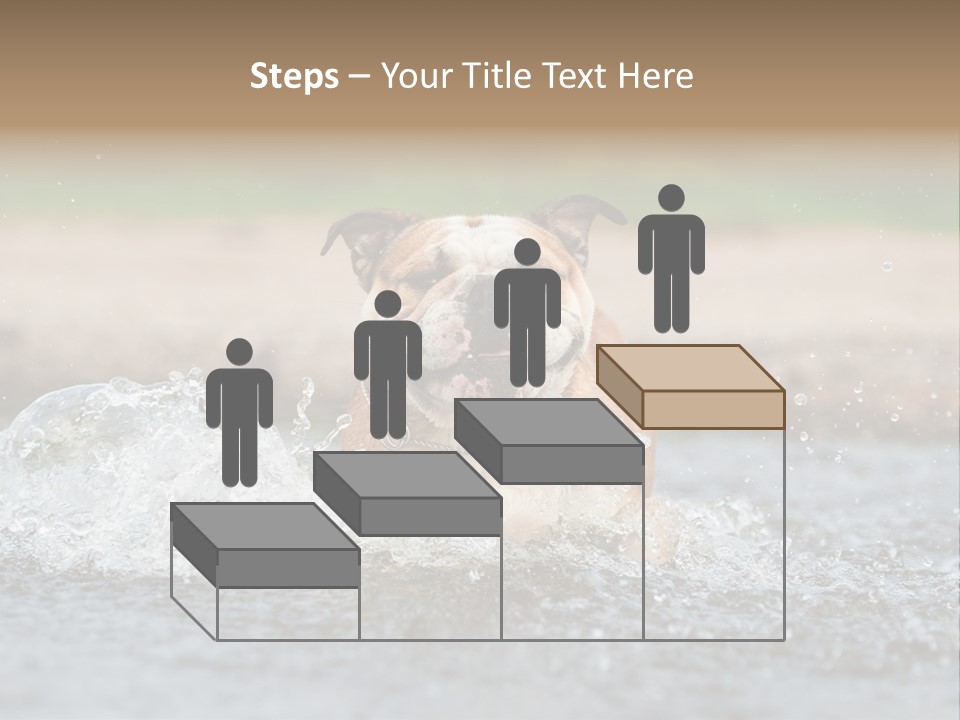 Portrait Funny Fun PowerPoint Template