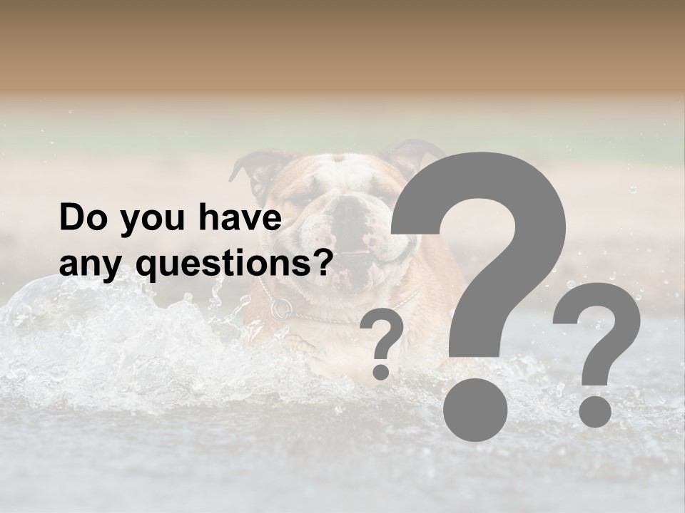 Portrait Funny Fun PowerPoint Template