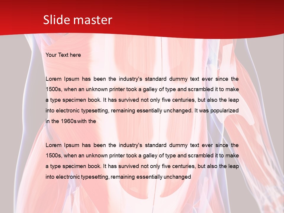 Male Muscle Abdomen PowerPoint Template