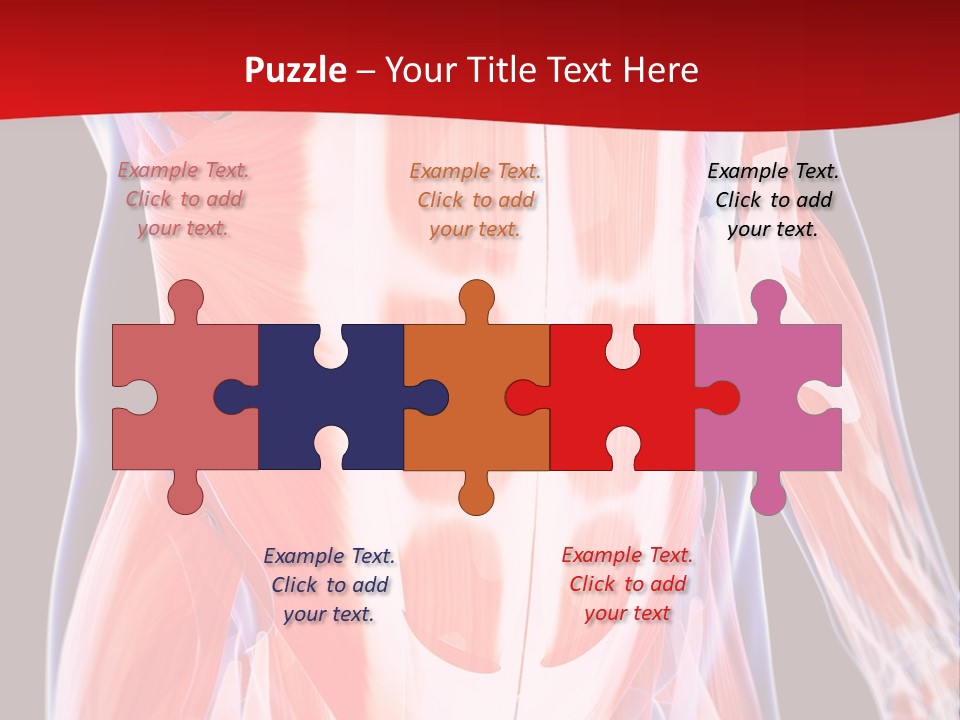 Male Muscle Abdomen PowerPoint Template