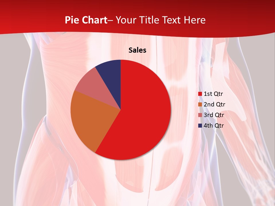 Male Muscle Abdomen PowerPoint Template