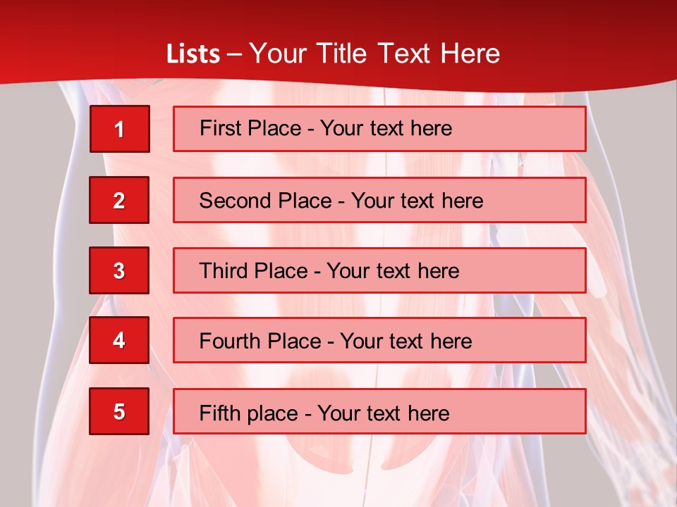Male Muscle Abdomen PowerPoint Template