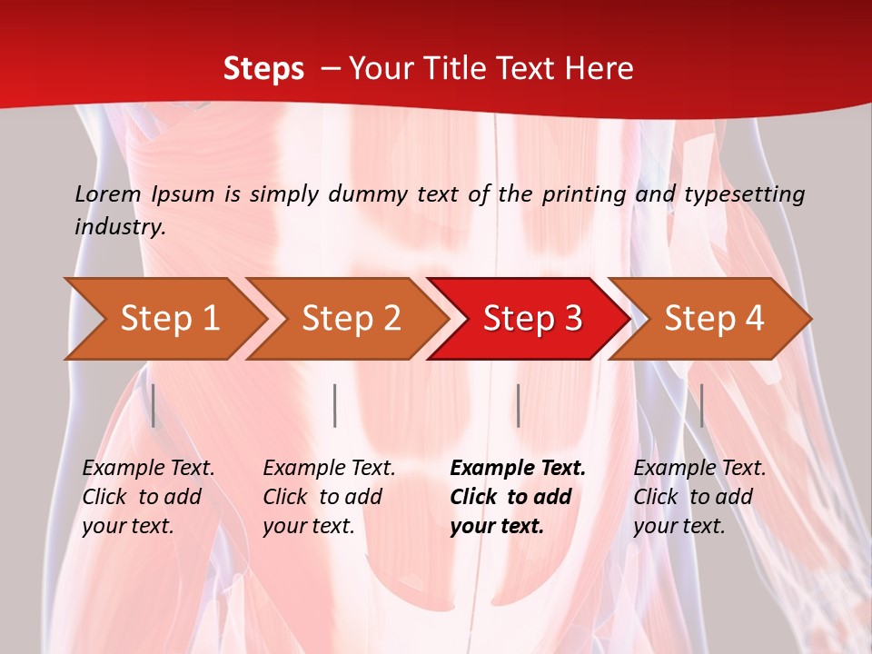 Male Muscle Abdomen PowerPoint Template