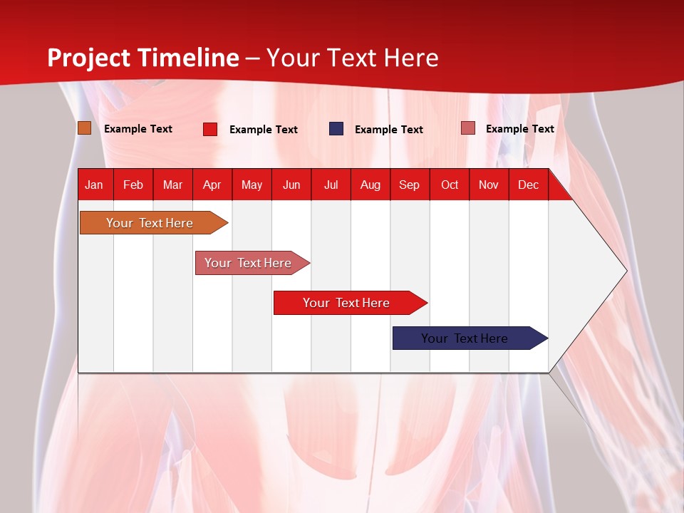 Male Muscle Abdomen PowerPoint Template