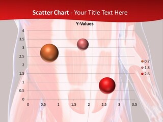 Male Muscle Abdomen PowerPoint Template