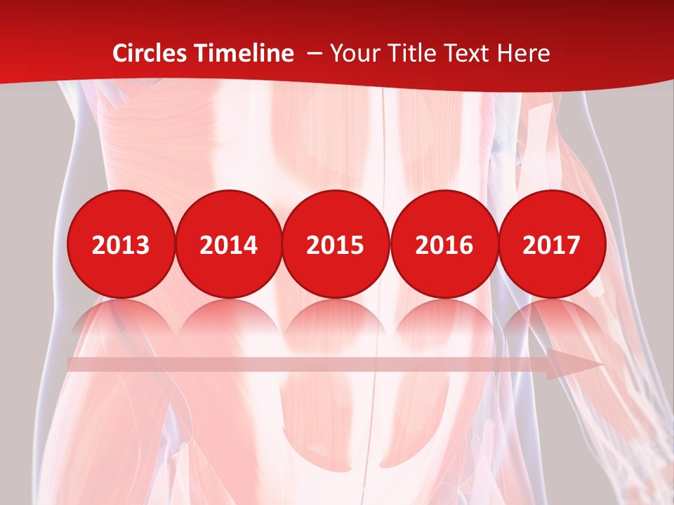 Male Muscle Abdomen PowerPoint Template