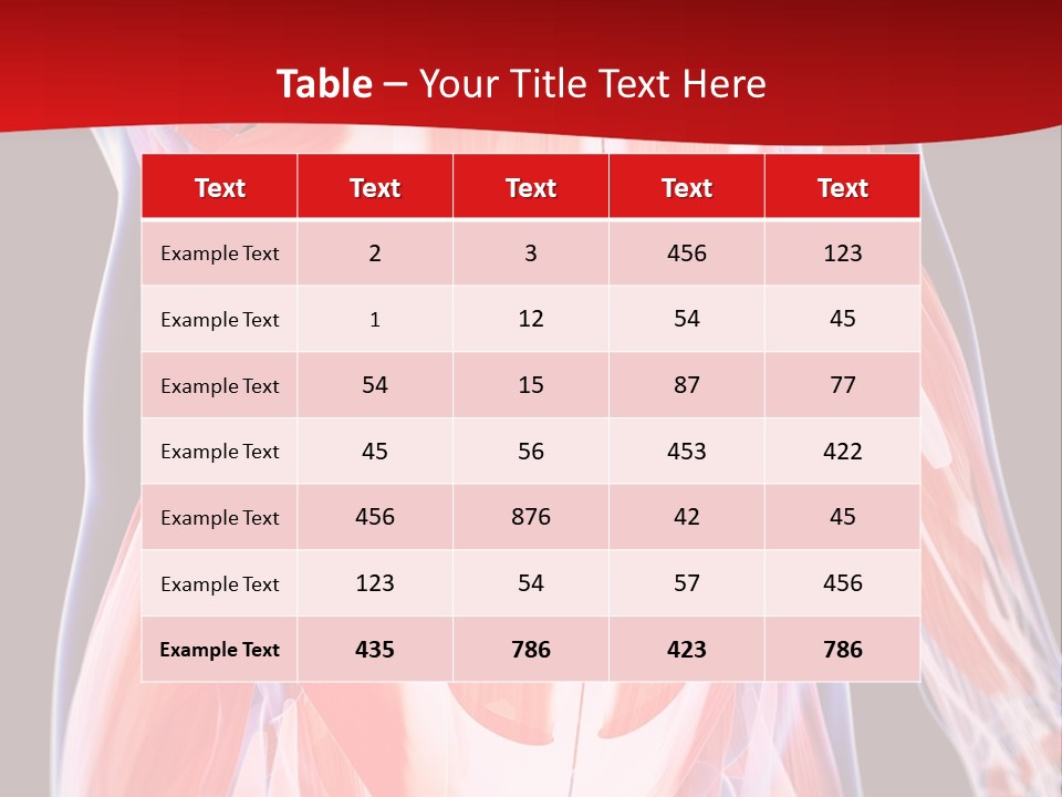 Male Muscle Abdomen PowerPoint Template