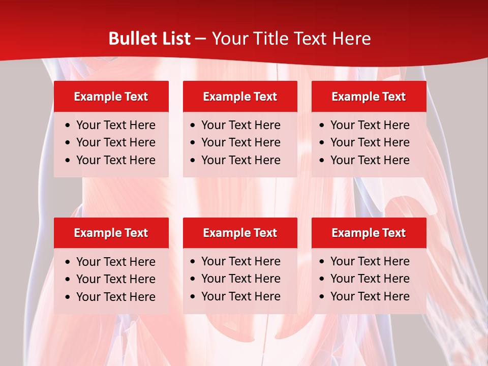 Male Muscle Abdomen PowerPoint Template