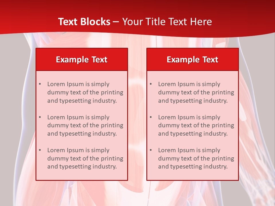 Male Muscle Abdomen PowerPoint Template