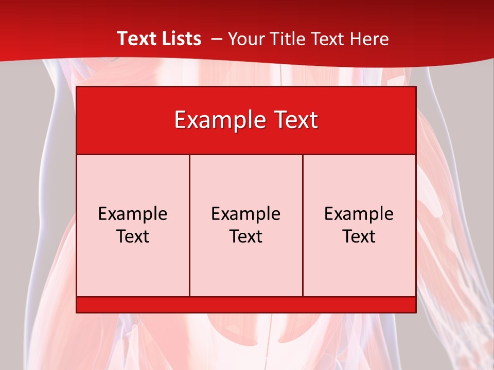 Male Muscle Abdomen PowerPoint Template