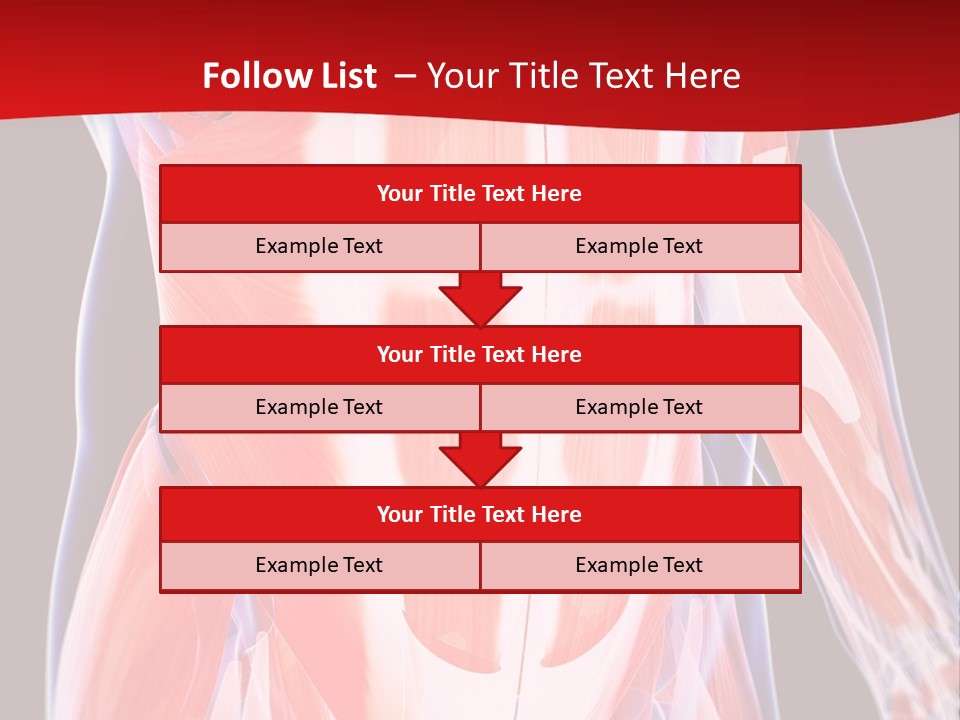Male Muscle Abdomen PowerPoint Template