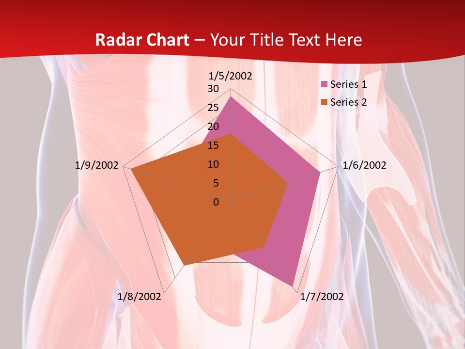 Male Muscle Abdomen PowerPoint Template