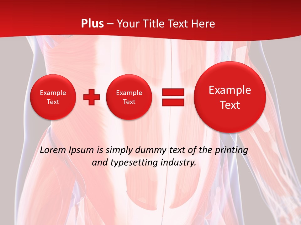 Male Muscle Abdomen PowerPoint Template