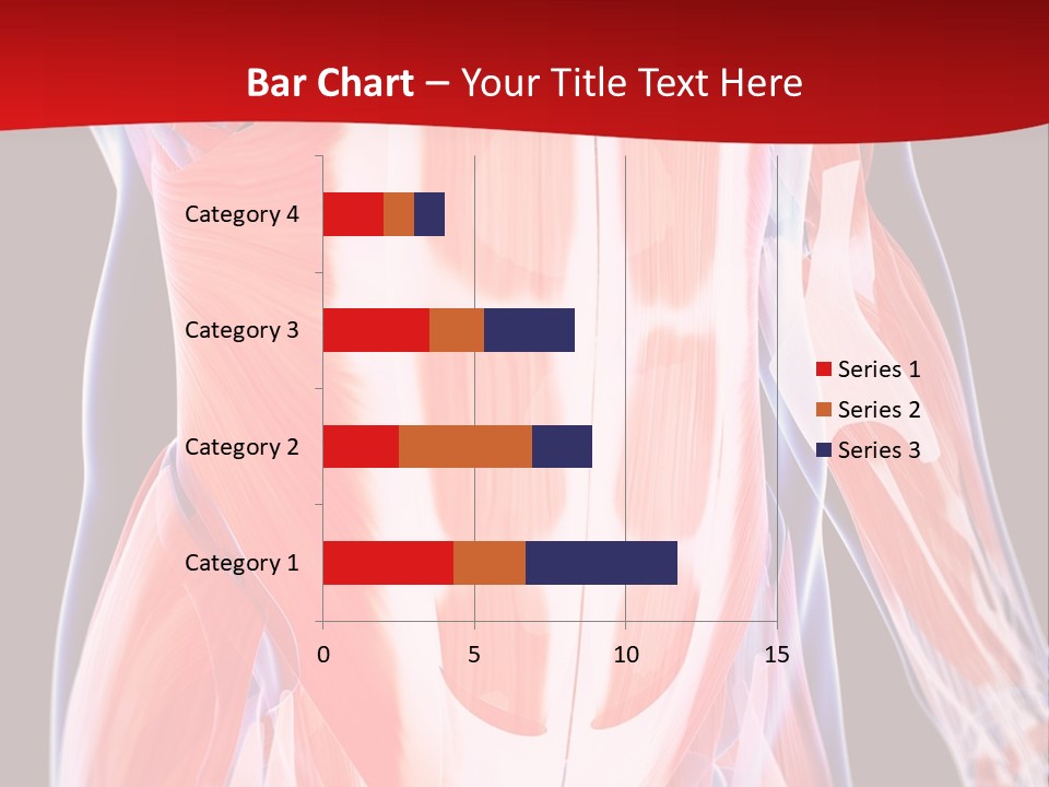 Male Muscle Abdomen PowerPoint Template