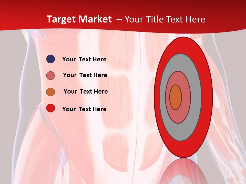 Male Muscle Abdomen PowerPoint Template