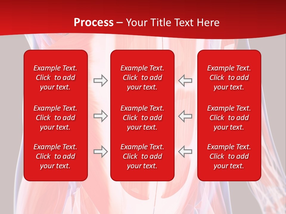Male Muscle Abdomen PowerPoint Template