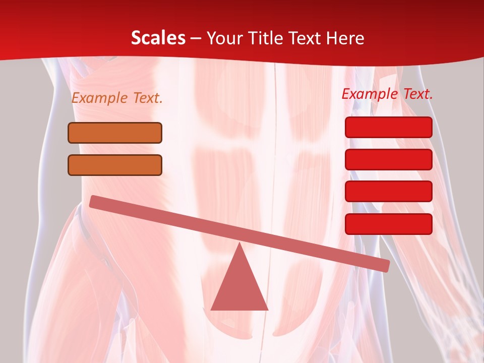 Male Muscle Abdomen PowerPoint Template