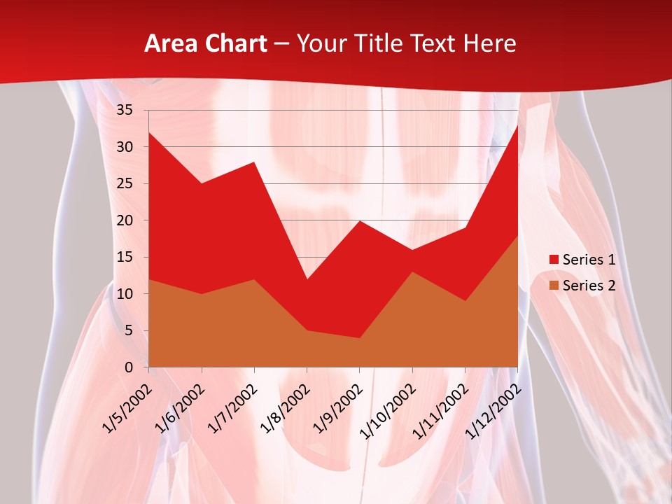 Male Muscle Abdomen PowerPoint Template