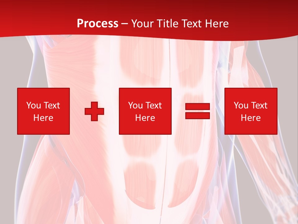 Male Muscle Abdomen PowerPoint Template