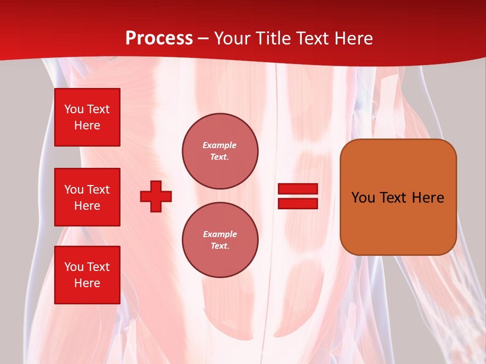 Male Muscle Abdomen PowerPoint Template