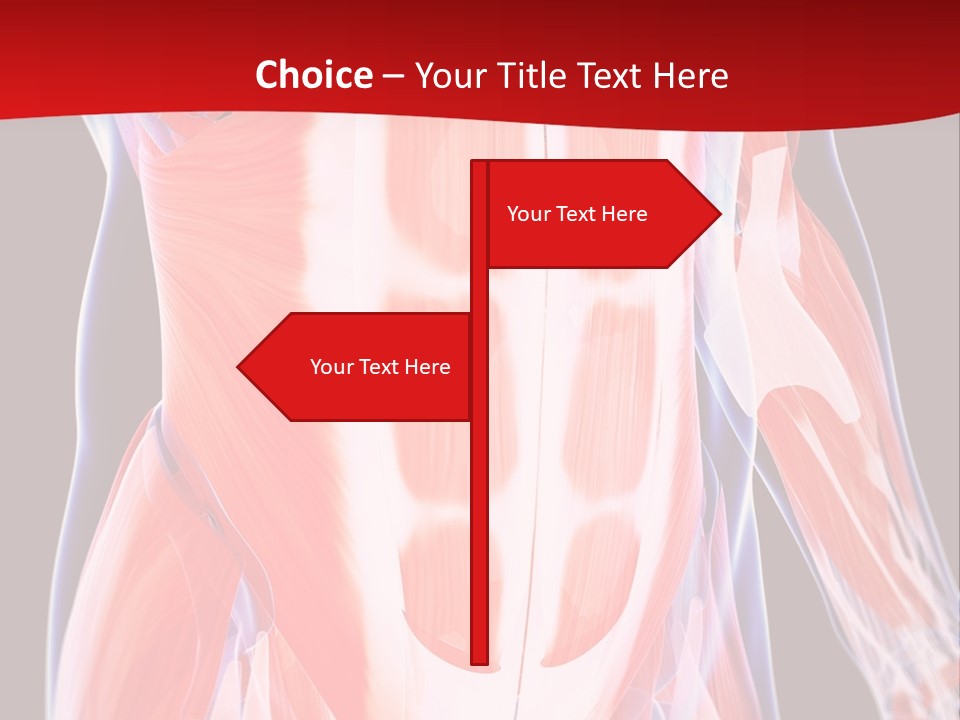 Male Muscle Abdomen PowerPoint Template
