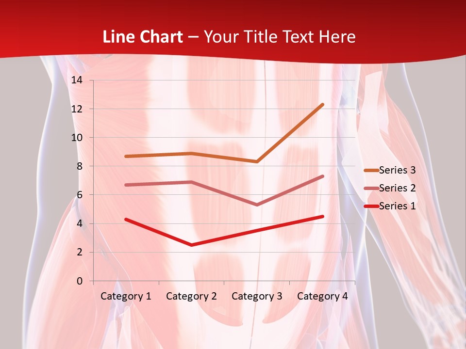 Male Muscle Abdomen PowerPoint Template
