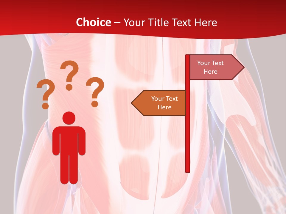 Male Muscle Abdomen PowerPoint Template