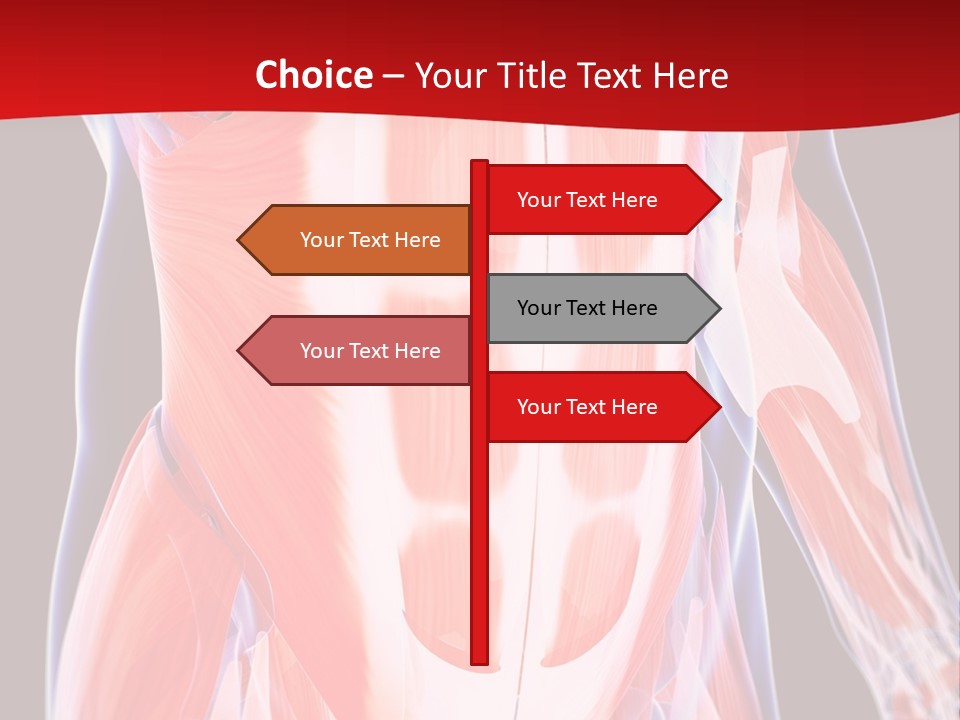 Male Muscle Abdomen PowerPoint Template