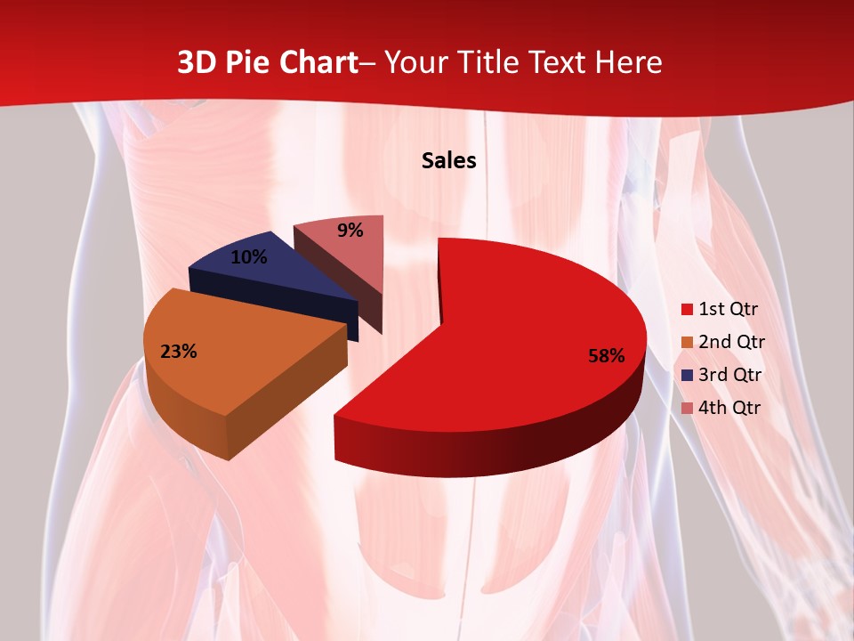 Male Muscle Abdomen PowerPoint Template