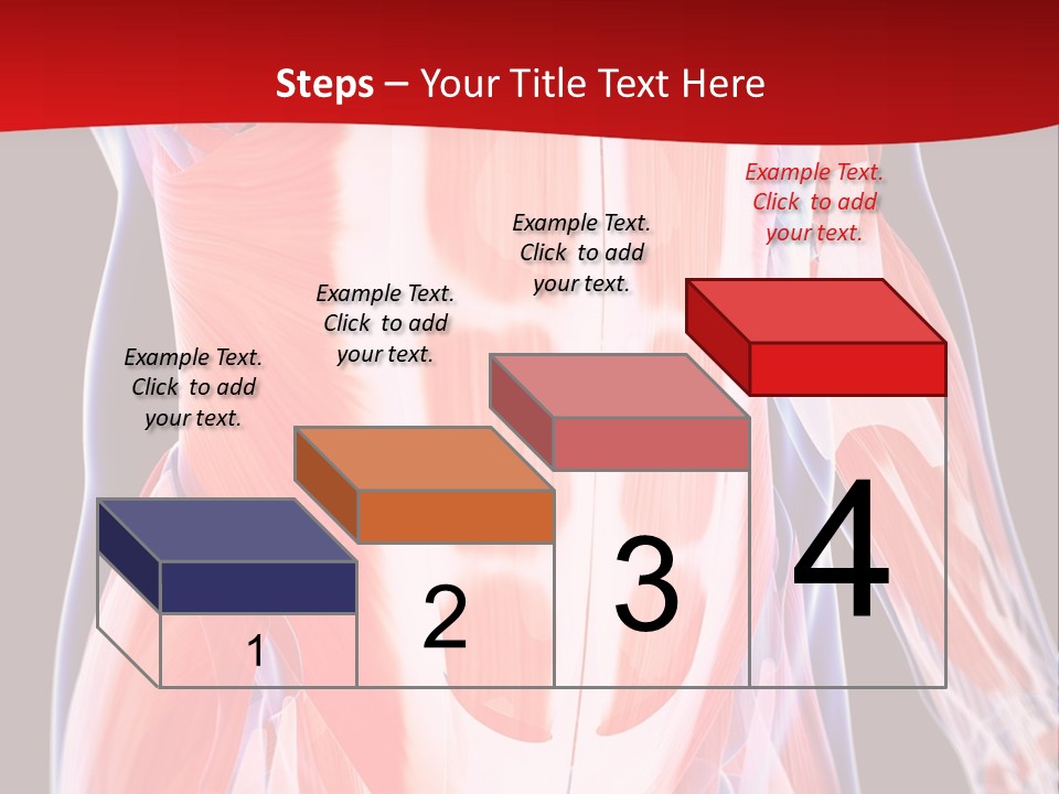 Male Muscle Abdomen PowerPoint Template