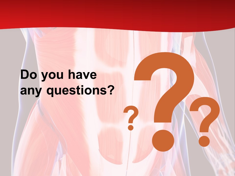 Male Muscle Abdomen PowerPoint Template