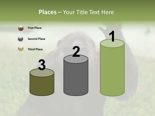 Hair People Uganda PowerPoint Template