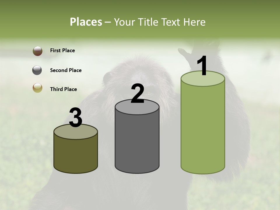 Hair People Uganda PowerPoint Template