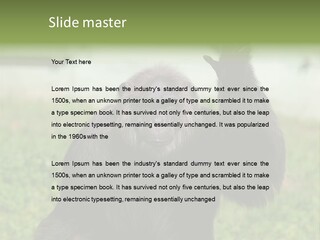 Hair People Uganda PowerPoint Template