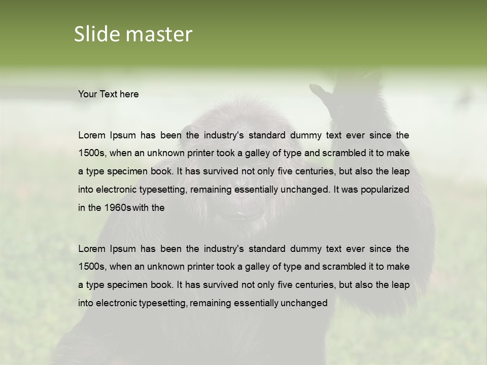Hair People Uganda PowerPoint Template