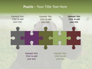 Hair People Uganda PowerPoint Template